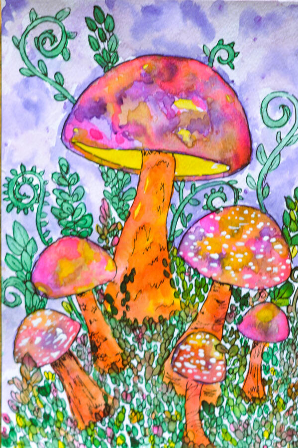 Shroomy 5 mushrooms done in watercolor. They are yellow, pink and orange. Varying sizes. White dots on the caps. Green Grass