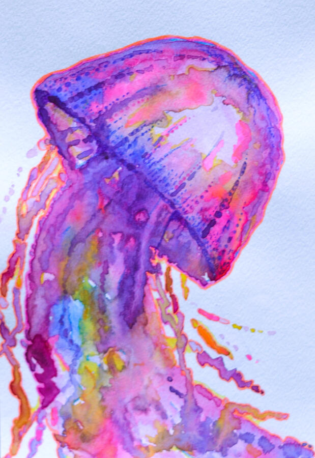 Purple, pink and orange jellyfish done in watercolor